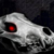:iconstormxtrevor207: