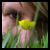 :iconstormy-knight:
