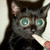 :iconstormy11550: