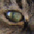 :iconstormywaffle: