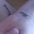 :iconstorra: