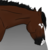 :iconstorybookrosesadopts: