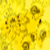 :iconstoryteller13: