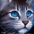 :iconstorywriter553: