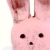 :iconstoveOVEN: