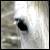 :iconstra-thorn: