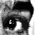 :iconstranded-bird: