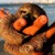 :iconstrange-jules: