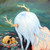:iconstrange-vision: