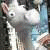 :iconstrangechameleon: