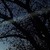 :iconstrangefrequencies: