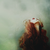 :iconstrangledscreams: