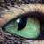 :iconstrantic: