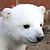 :iconstrattyboy: