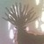 :iconstrawberriestree: