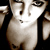 :iconstrawberrryavalanche: