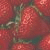 :iconstrawberry-cola: