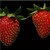 :iconstrawberry-field: