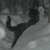 :iconstrawberry-kit: