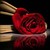 :iconstrawberry-tensiga: