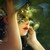 :iconstrawberry03: