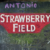 :iconstrawberryfieldplz:
