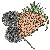 :iconstrawberryrosepro: