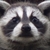 :iconstrawberrysamjam:
