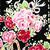 :iconstrawberryspace: