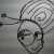 :iconstrawberrytree: