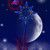 :iconstrawberryxaos: