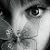 :iconstrawcherry14: