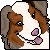 :iconstrawd: