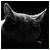 :iconStray-Katz:
