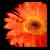 :iconstraybulletkmfdm: