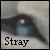 :iconStrayDogStride: