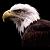 :iconstrayeagle41: