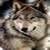 straywolfxx :iconstraywolfxx: