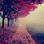 :iconstreaks-of-moonlight: