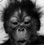 :iconstreet--life: