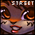 :iconstreetteam: