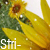 :iconstri-:
