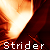 :iconstrider23: