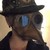 :iconstriders484: