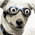 :iconstrike7: