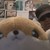 :iconstriker-x: