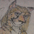 :iconstrikerkingcheetah: