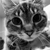 :iconstrikethecamera: