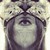 :iconstringunion: