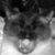 :iconstriped-peanut: